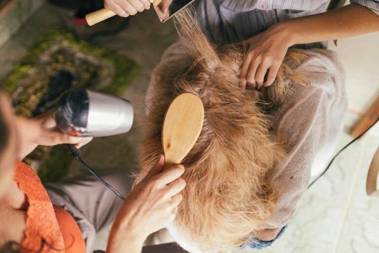 Tips for Grooming Your Doodle at Home